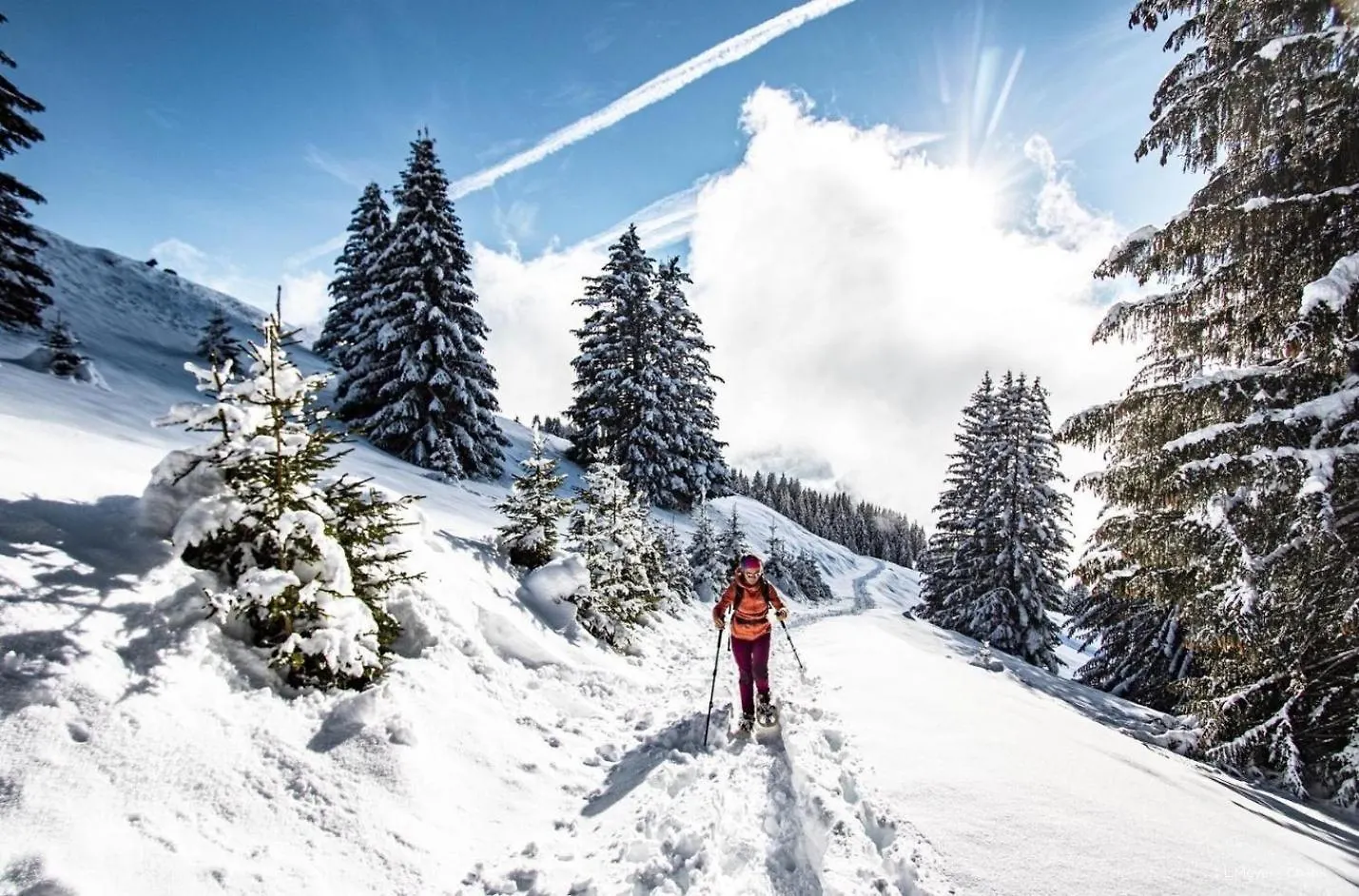 Apartment Voinettes Vnb8 Telecabine & Mountain 4 Pers Chatel