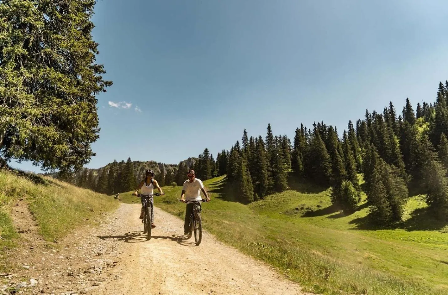 Voinettes Vnb8 Telecabine & Mountain 4 Pers Chatel
